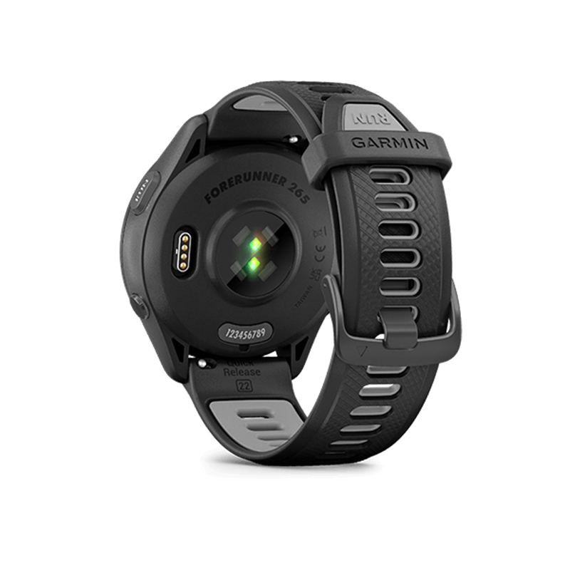 Смарт-часы Garmin Forerunner 2 – обзор и цена Outdoor Sport Smart Watch